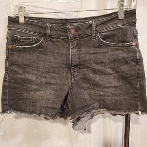 Judy Blue Denim Short